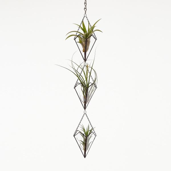 Hanging Triple Stained Glass Air Plant Holder picture