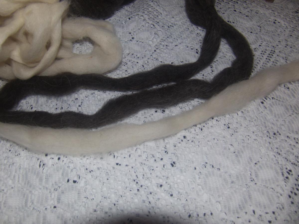 Llama Roving picture