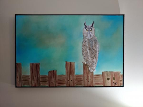 Owl Seeing picture