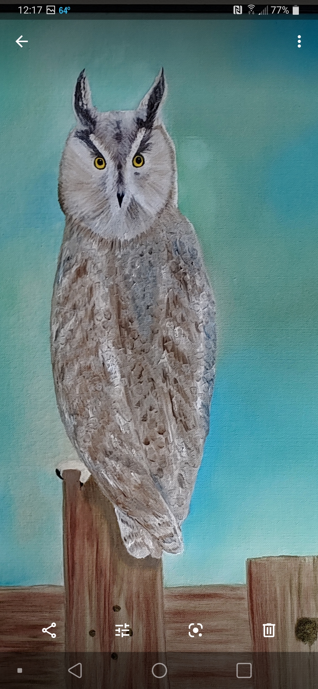 Owl Seeing picture