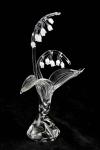 Lily of the Valley