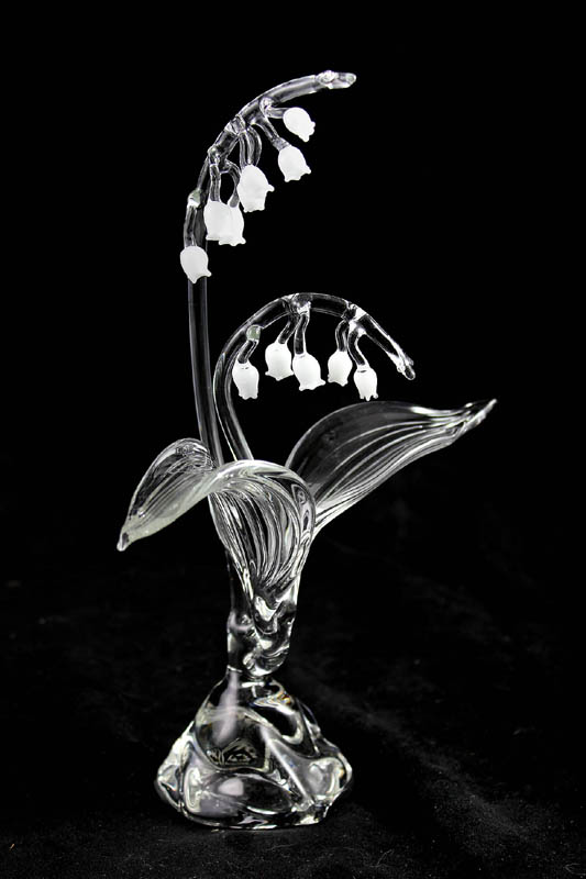 Lily of the Valley picture