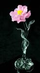 Camellia   Petite Fleur