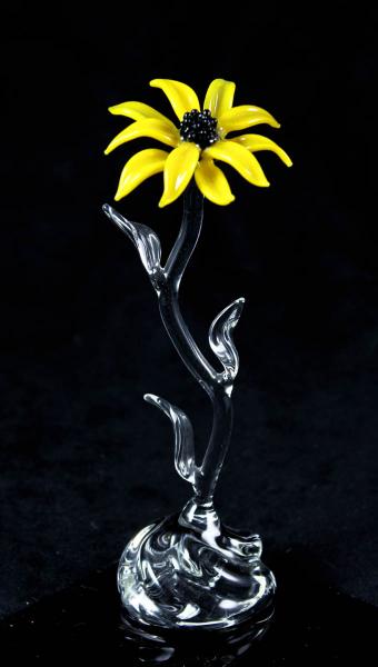 Black-eyed Susan Petite Fleur picture