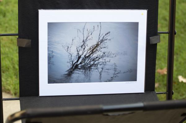 Reflections of the Carved Tree picture