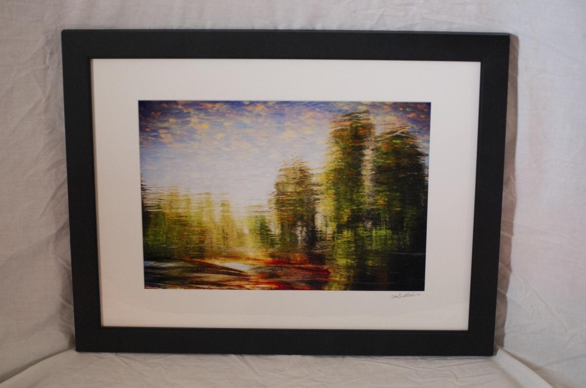 Secret Place picture