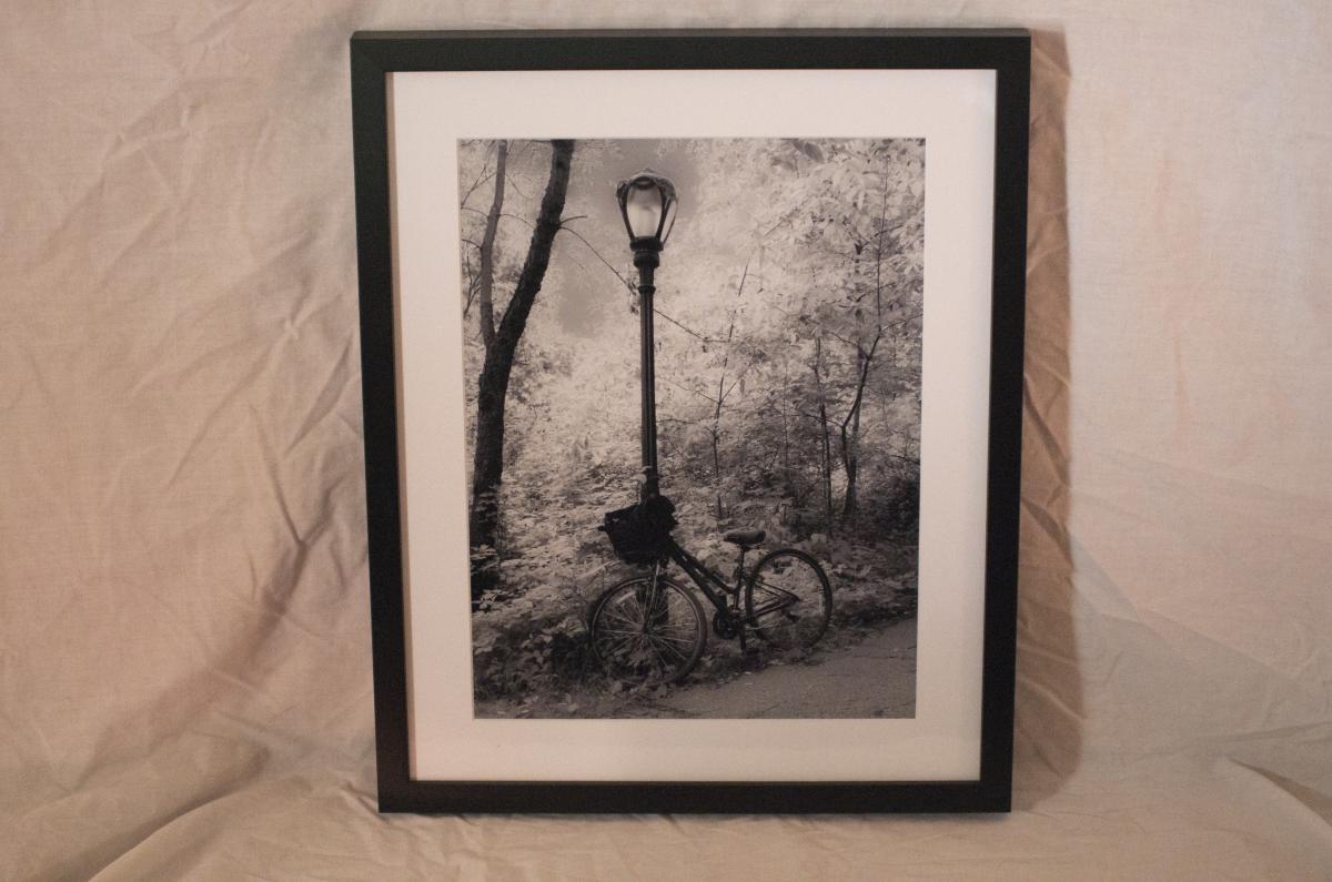 A Rest in Central Park picture