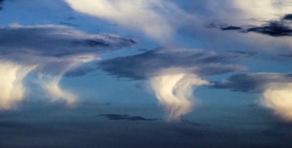 Mushroom Clouds picture