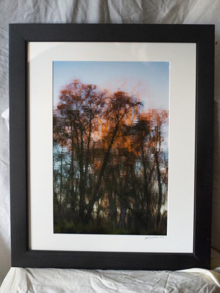 Sunset on Treetops on River picture