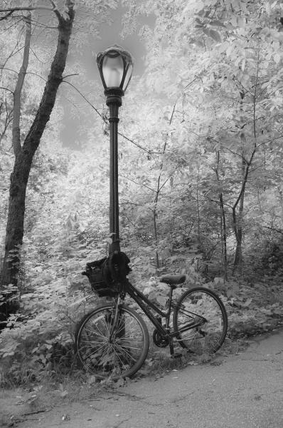 A Rest in Central Park picture