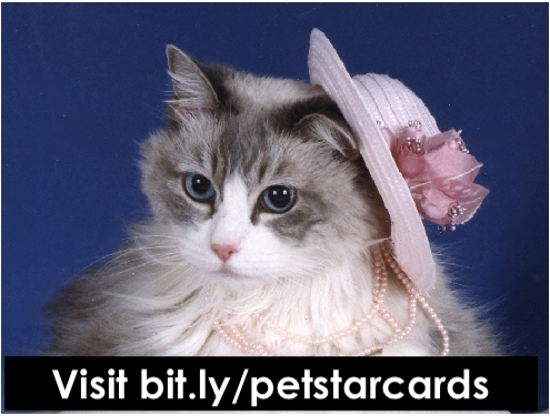 Pet Star Cards picture