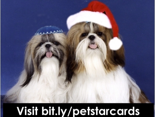 Pet Star Cards
