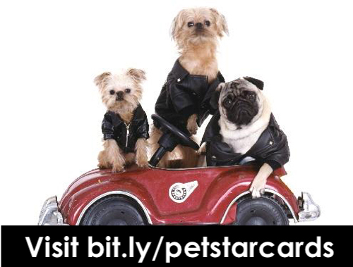 Pet Star Cards picture