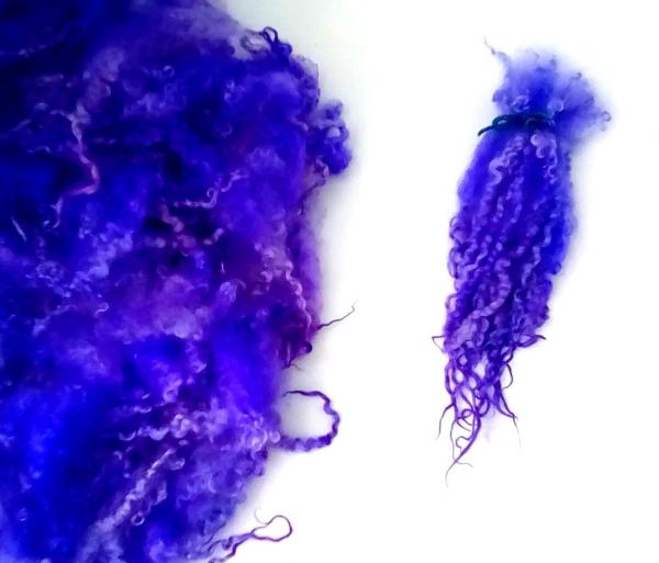 Fat Bottom Curls/purple & blue picture