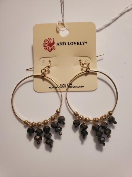 Black Jewel Earrings picture