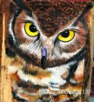 Great Horned Owl