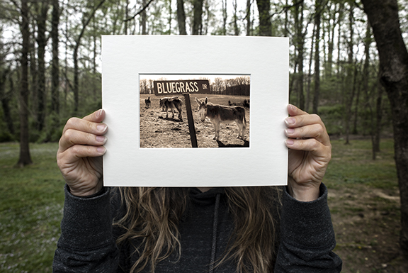 Bluegrass Ass - 8x10 matted picture