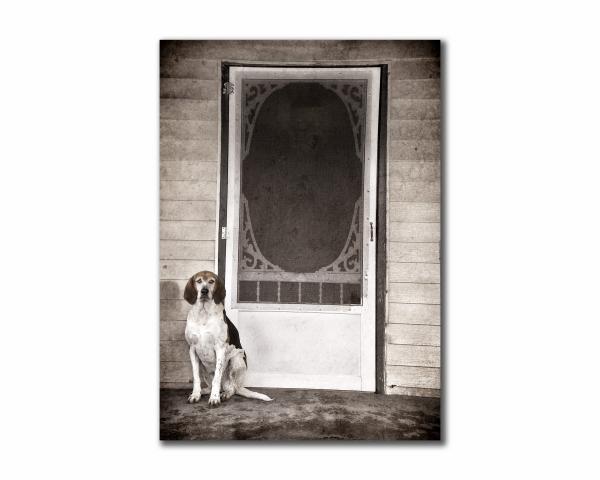 Hound Dog - 28x42 canvas (with Frame option) picture