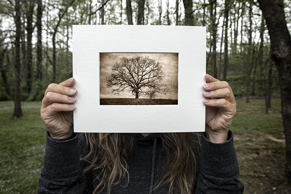 Oak Tree - 8x10 matted picture