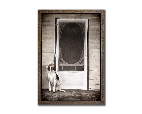 Hound Dog - 28x42 canvas (with Frame option) picture