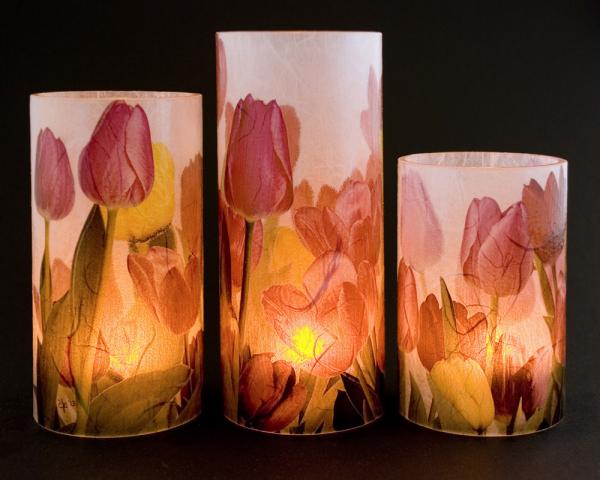 Tulips eKandle Kuffs (Petite Set)