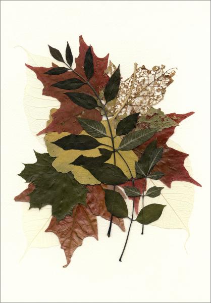 Botanical Collage (ID: F-6-L)