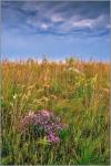 PRAIRIE STORM - gallery-wrapped canvas •  8" x 12" • $40 / 16" x 24" • $120