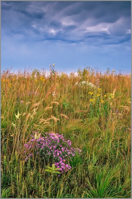 PRAIRIE STORM - gallery-wrapped canvas •  8" x 12" • $40 / 16" x 24" • $120