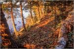 LAKESIDE TRAIL - gallery-wrapped canvas •  8" x 12" • $40 / 16" x 24" • $120