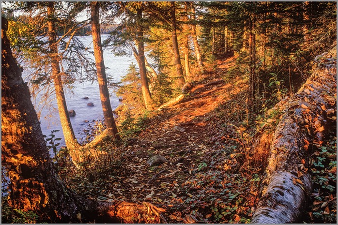 LAKESIDE TRAIL - gallery-wrapped canvas •  8" x 12" • $40 / 16" x 24" • $120 picture