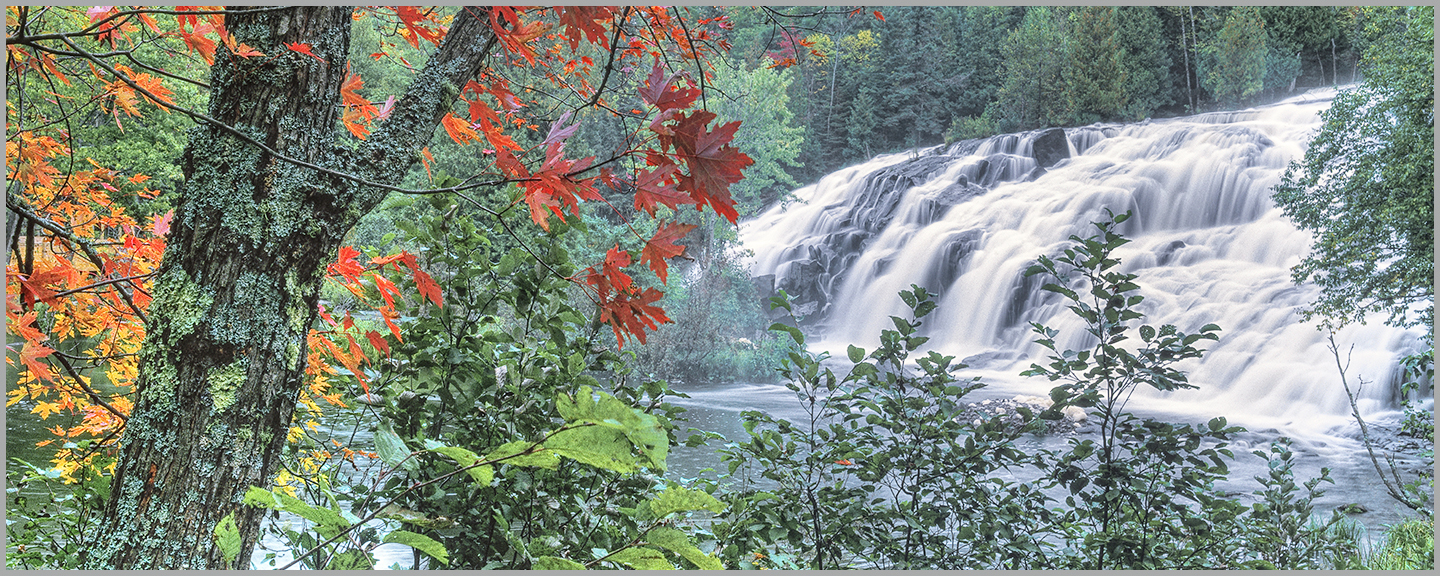 AUTUMN FALLS - gallery-wrapped canvas •  8" x 12" • $40 / 12" x 30" • $120