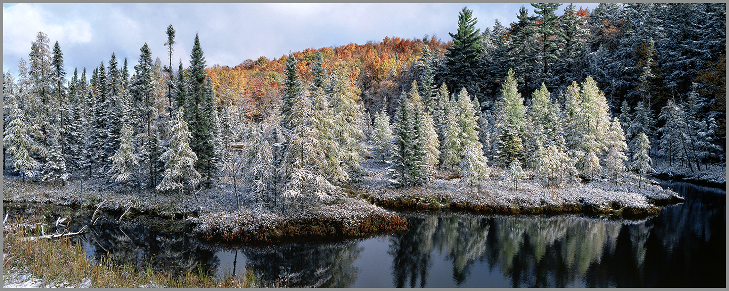 PRELUDE - gallery-wrapped canvas • 8" x 12" • $40 / 12" x 30" • $120 picture