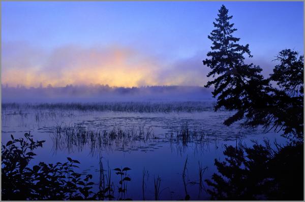 LAKE ITASCA DAWN - gallery-wrapped canvas •  8" x 12" • $40 / 16" x 24" • $120 picture