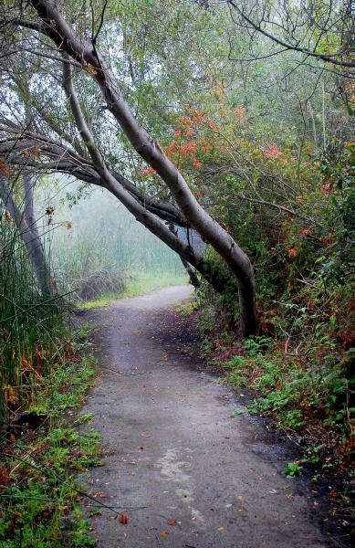 Oceano Pathway picture