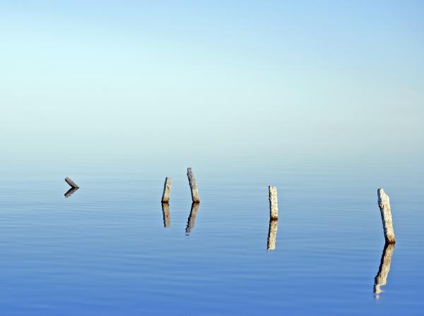 Salton Sea Infinity picture