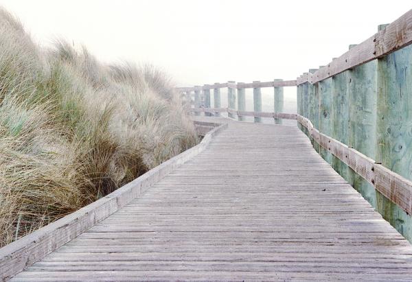 Bodega Walkway