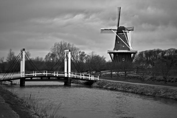 Windmill on the Canal picture