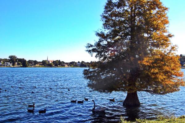 Serenity at Lakeland