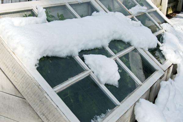 Winter Planting