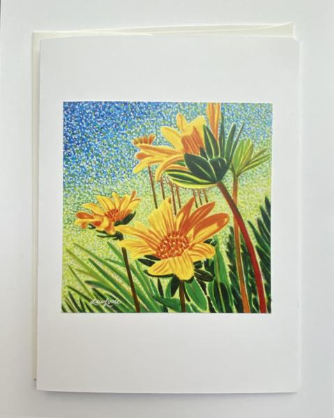 Blank Notecards "Whooly Sunflower" picture