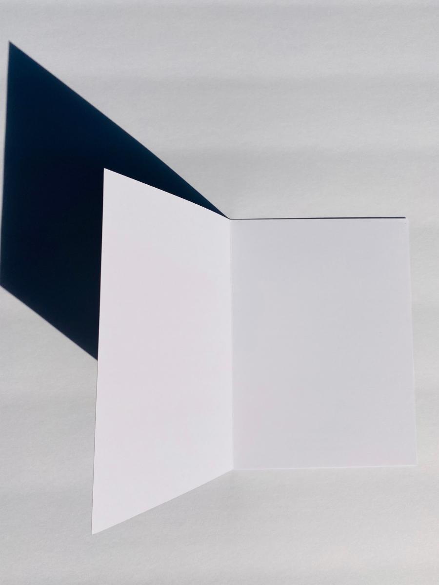 Blank Notecards "Poppy Swaying" picture