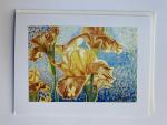 Blank Notecards "Iris Sun Rising"