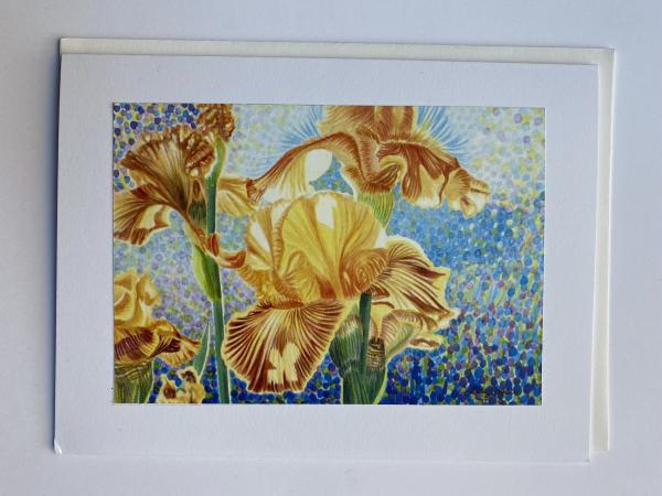 Blank Notecards "Iris Sun Rising" picture