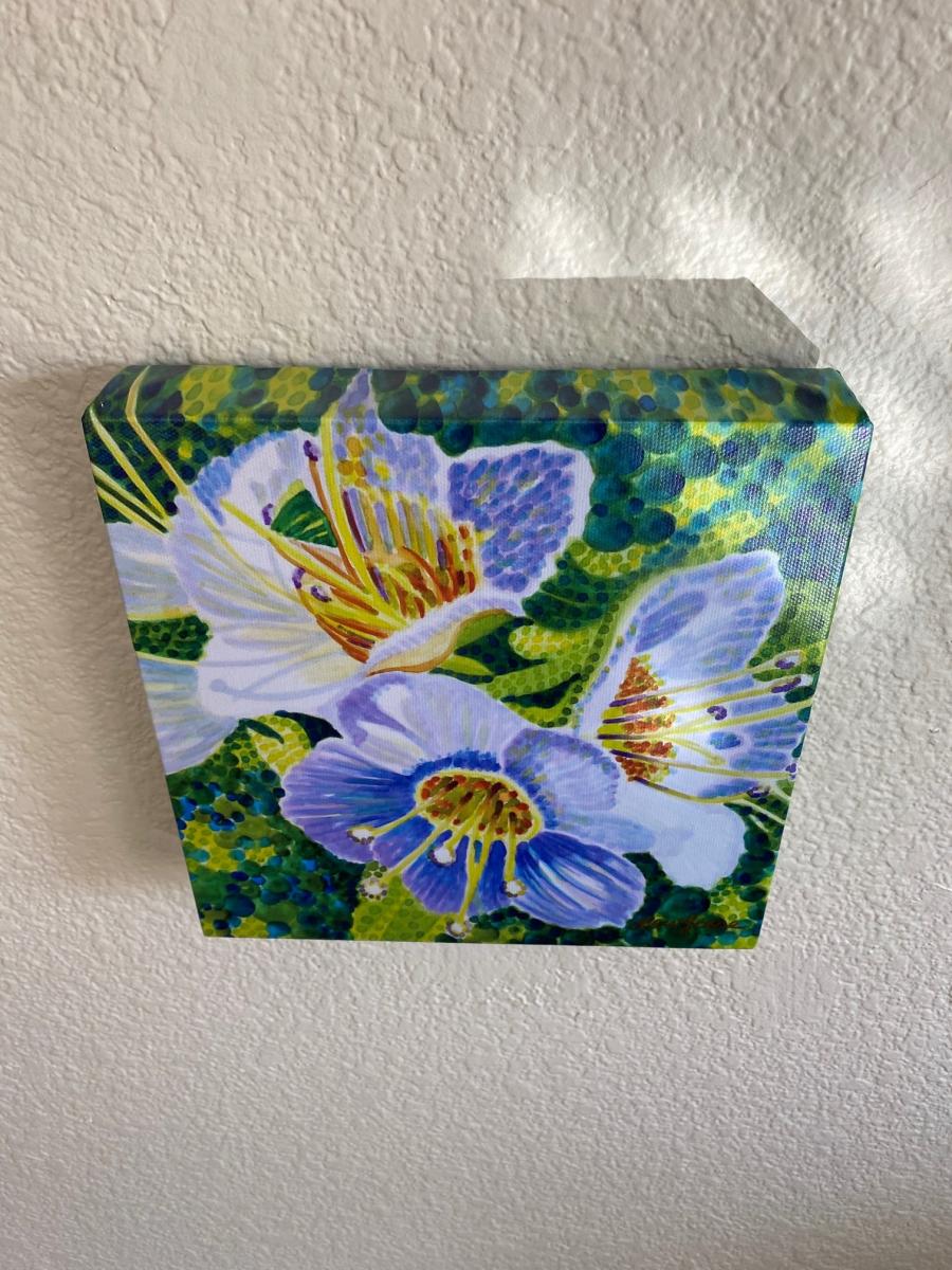 Watercolor Canvas Gallery Wrap Print -8”x8” “Common Phacelia” picture