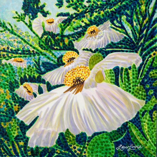 Watercolor Canvas Gallery Wrap Print - 8"x8" - "Matilija Poppy"