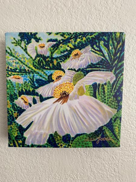 Watercolor Canvas Gallery Wrap Print - 8"x8" - "Matilija Poppy" picture