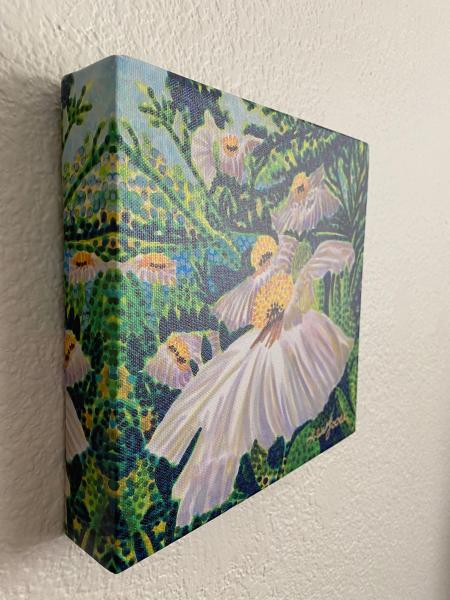 Watercolor Canvas Gallery Wrap Print - 8"x8" - "Matilija Poppy" picture