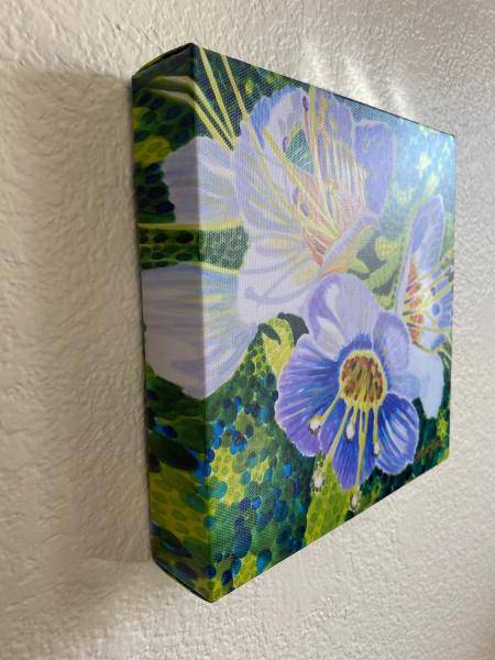 Watercolor Canvas Gallery Wrap Print -8”x8” “Common Phacelia” picture