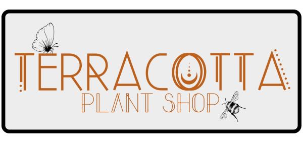 Terracotta Plant Shop