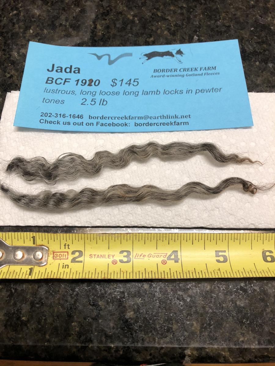 Follow link to our Etsy Shop to purchase-Jada BCF Fleece #1910 picture